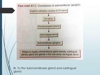 Br. To the Submandibular gland and sublingual
gland
 
