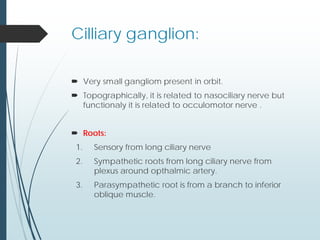 Cilliary ganglion:
 Very small gangliom present in orbit.
 Topographically, it is related to nasociliary nerve but
functionaly it is related to occulomotor nerve .
 Roots:
1. Sensory from long ciliary nerve
2. Sympathetic roots from long ciliary nerve from
plexus around opthalmic artery.
3. Parasympathetic root is from a branch to inferior
oblique muscle.
 