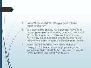 2. Sympathetic roots from plexus around middle
meningeal artery.
3. Secretomotor roots is by lesser petrosal nerve from
the tympanic plexus formed by tympanic branch of
glossopharyngeal nerve. Fibres of lesser petrosal
nerve relay in otic ganglion. Postganglionic fibres
reaches the gland through auriculotemporal nerve.
4. Motor root is by branch from nerve to medial
pterygoid. This branches underlying through the
ganglion and devided into two branches to supply
tensor tympani and tensor veli palatini
 