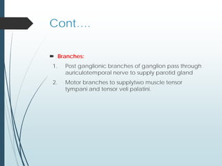 Cont….
 Branches:
1. Post ganglionic branches of ganglion pass through
auriculotemporal nerve to supply parotid gland
2. Motor branches to supplytwo muscle tensor
tympani and tensor veli palatini.
 