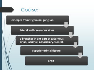 Course:
emerges from trigeminal ganglion
lateral wall cavernous sinus
3 branches in ant part of cavernous
sinus, lacrimal, nasocilliary, frontal.
superior orbital fissure
orbit
 