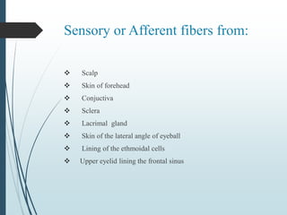 Sensory or Afferent fibers from:
 Scalp
 Skin of forehead
 Conjuctiva
 Sclera
 Lacrimal gland
 Skin of the lateral angle of eyeball
 Lining of the ethmoidal cells
 Upper eyelid lining the frontal sinus
 