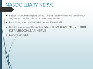  Passes through med part of sup. Orbital fissure within the tendenious
ring betwn the two div of occulomotor nerve.
 Runs along med wall of orbit betwn SO and MR
 Divides into terminal branches ANT ETHMOIDAL NERVE and
INFRATROCHLEAR NERVE
 branches in orbit.
NASOCILLIARY NERVE
 