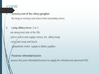 1. Sensory root of the ciliary ganglion:
the long or sensory root arises from nasociliary nerve.
2. Long cilliary nerve: 2 or 3.
run along med side of the ON
pierce sclera and supply cornea, iris, cilliary body.
carry pain temp and touch.
sympathetic motor supply to dilator pupillae.
3. Posterior ethmoidal branch:
passes thru post ethmoidal foramen to supply the ethmoid and sphenoid PNS.
conti
 