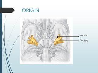 ORIGIN
sensor
y
motor
 