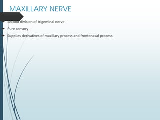 MAXILLARY NERVE
 Second division of trigeminal nerve
 Pure sensory
 Supplies derivatives of maxillary process and frontonasal process.
 
