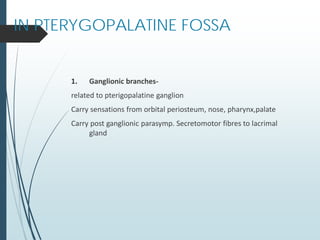 IN PTERYGOPALATINE FOSSA
1. Ganglionic branches-
related to pterigopalatine ganglion
Carry sensations from orbital periosteum, nose, pharynx,palate
Carry post ganglionic parasymp. Secretomotor fibres to lacrimal
gland
 
