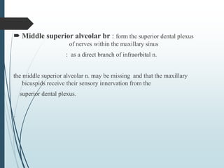  Middle superior alveolar br : form the superior dental plexus
of nerves within the maxillary sinus
: as a direct branch of infraorbital n.
the middle superior alveolar n. may be missing and that the maxillary
bicuspids receive their sensory innervation from the
superior dental plexus.
.
 