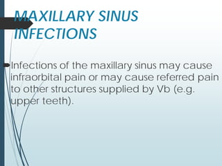 MAXILLARY SINUS
INFECTIONS
Infections of the maxillary sinus may cause
infraorbital pain or may cause referred pain
to other structures supplied by Vb (e.g.
upper teeth).
 