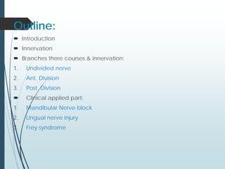 Outline:
 Introduction
 Innervation
 Branches there courses & innervation:
1. Undivided nerve
2. Ant. Division
3. Post. Division
 Clinical applied part:
1. Mandibular Nerve block
2. Lingual nerve injury
3. Frey syndrome
 