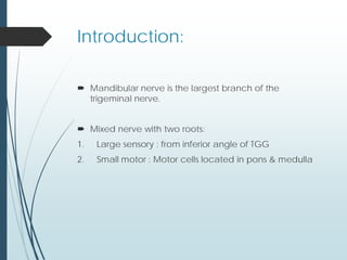 Introduction:
 Mandibular nerve is the largest branch of the
trigeminal nerve.
 Mixed nerve with two roots:
1. Large sensory : from inferior angle of TGG
2. Small motor : Motor cells located in pons & medulla
 