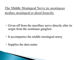  Given off from the maxillary nerve directly after its
origin from the semilunar ganglion
 It accompanies the middle meningeal artery
 Supplies the dura mater
 