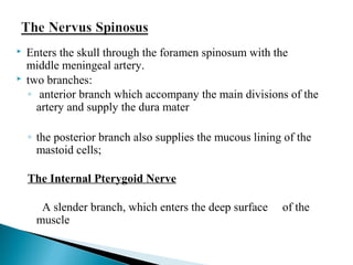  Enters the skull through the foramen spinosum with the
middle meningeal artery.
 two branches:
◦ anterior branch which accompany the main divisions of the
artery and supply the dura mater
◦ the posterior branch also supplies the mucous lining of the
mastoid cells;
The Internal Pterygoid Nerve
A slender branch, which enters the deep surface of the
muscle
 