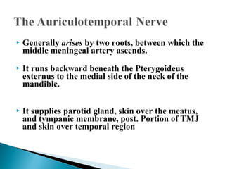  Generally arises by two roots, between which the
middle meningeal artery ascends.
 It runs backward beneath the Pterygoideus
externus to the medial side of the neck of the
mandible.
 It supplies parotid gland, skin over the meatus,
and tympanic membrane, post. Portion of TMJ
and skin over temporal region
 
