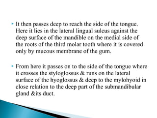  It then passes deep to reach the side of the tongue.
Here it lies in the lateral lingual sulcus against the
deep surface of the mandible on the medial side of
the roots of the third molar tooth where it is covered
only by mucous membrane of the gum.
 From here it passes on to the side of the tongue where
it crosses the styloglossus & runs on the lateral
surface of the hyoglossus & deep to the mylohyoid in
close relation to the deep part of the submandibular
gland &its duct.
 