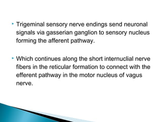  Trigeminal sensory nerve endings send neuronal
signals via gasserian ganglion to sensory nucleus
forming the afferent pathway.
 Which continues along the short internuclial nerve
fibers in the reticular formation to connect with the
efferent pathway in the motor nucleus of vagus
nerve.
 