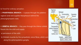 b) Tonsil for ordinary sensation.
3. PHARYNGEAL BRANCH :- it passes through the palatino-
vaginal canal and supplies Nasopharynx behind the
pharyngotympanic tube.
4. ORBITAL BRANCH :- they pass through the inferior orbital
fissure into the orbit and supply:
a) periosteum of the orbit.
b) Orbitalis muscles by the sympathetic nerve fibres, which come
along the sphenopalatine ganglia.
38
 