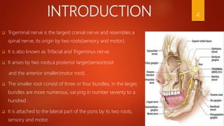 INTRODUCTION
 Trigeminal nerve is the largest cranial nerve and resembles a
spinal nerve, its origin by two roots(sensory and motor).
 It is also known as Trifacial and Trigeminus nerve.
 It arises by two roots,a posterior larger(sensor)root
and the anterior smaller(motor root).
 The smaller root consist of three or four bundles, in the larger,
bundles are more numerous, varying in number seventy to a
hundred .
 It is attached to the lateral part of the pons by its two roots,
sensory and motor.
4
 