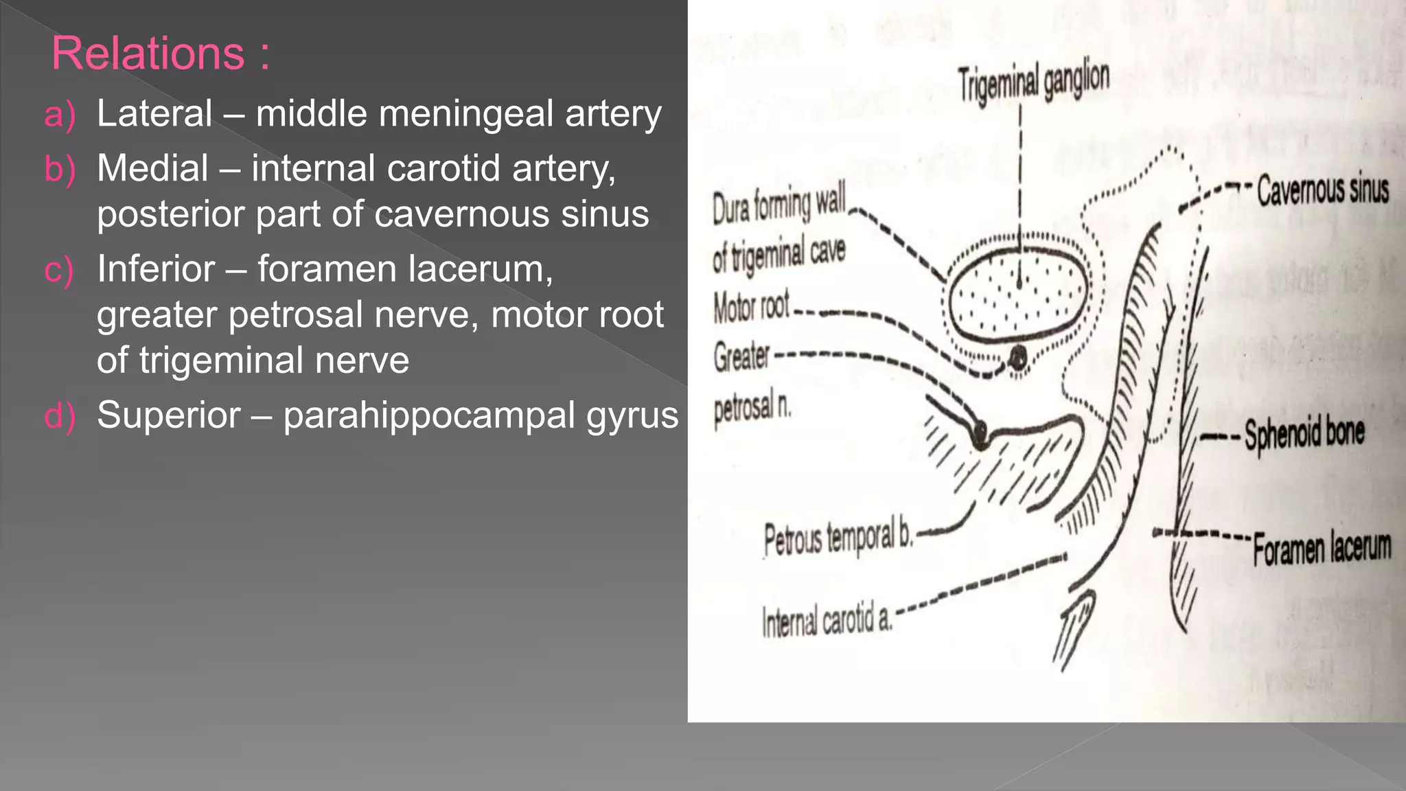Relations :
a) Lateral – middle meningeal artery
b) Medial – internal carotid artery,
posterior part of cavernous sinus
c) Inferior – foramen lacerum,
greater petrosal nerve, motor root
of trigeminal nerve
d) Superior – parahippocampal gyrus
 