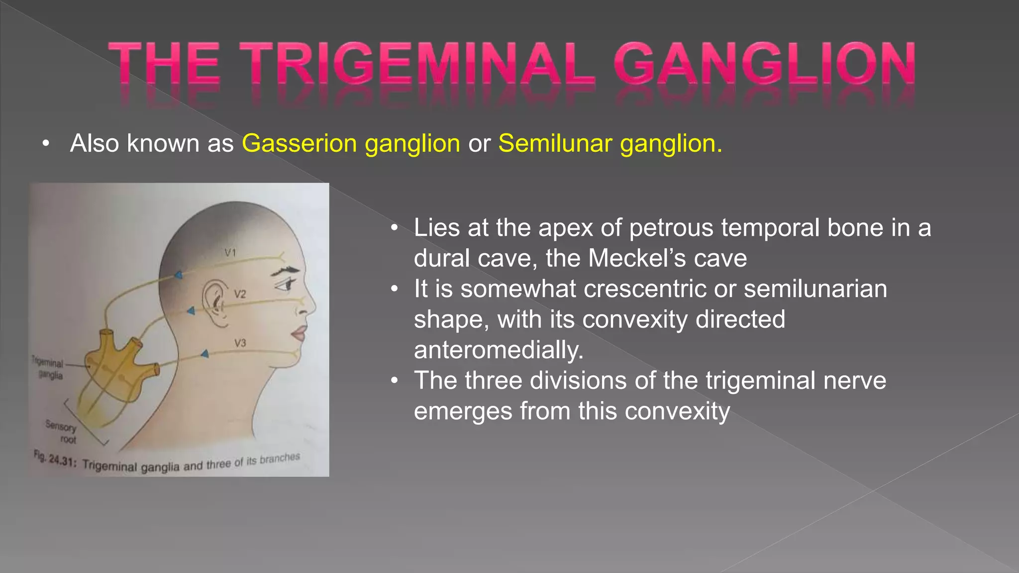 • Also known as Gasserion ganglion or Semilunar ganglion.
• Lies at the apex of petrous temporal bone in a
dural cave, the Meckel’s cave
• It is somewhat crescentric or semilunarian
shape, with its convexity directed
anteromedially.
• The three divisions of the trigeminal nerve
emerges from this convexity
 