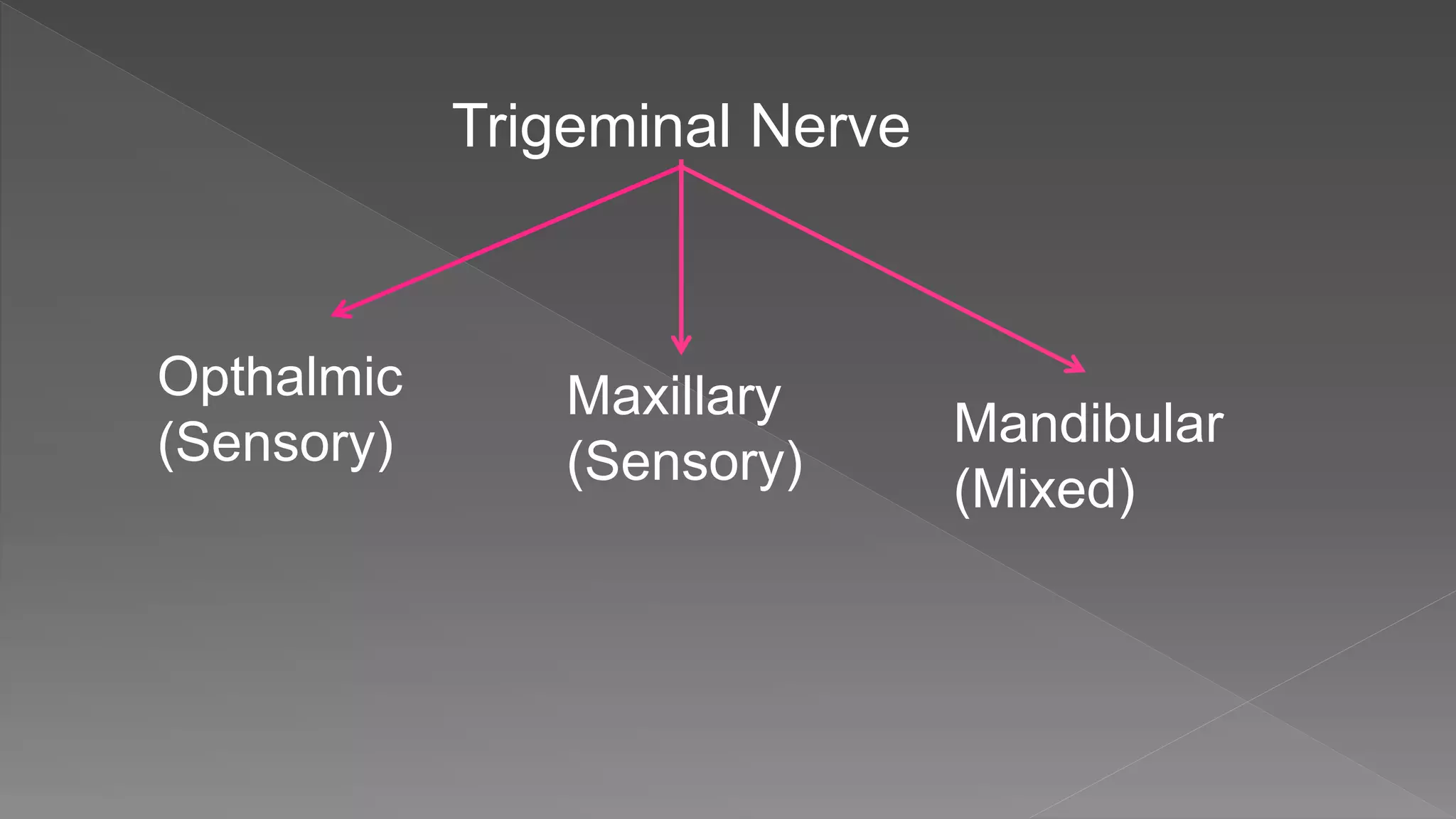 Trigeminal Nerve
Opthalmic
(Sensory)
Maxillary
(Sensory)
Mandibular
(Mixed)
 