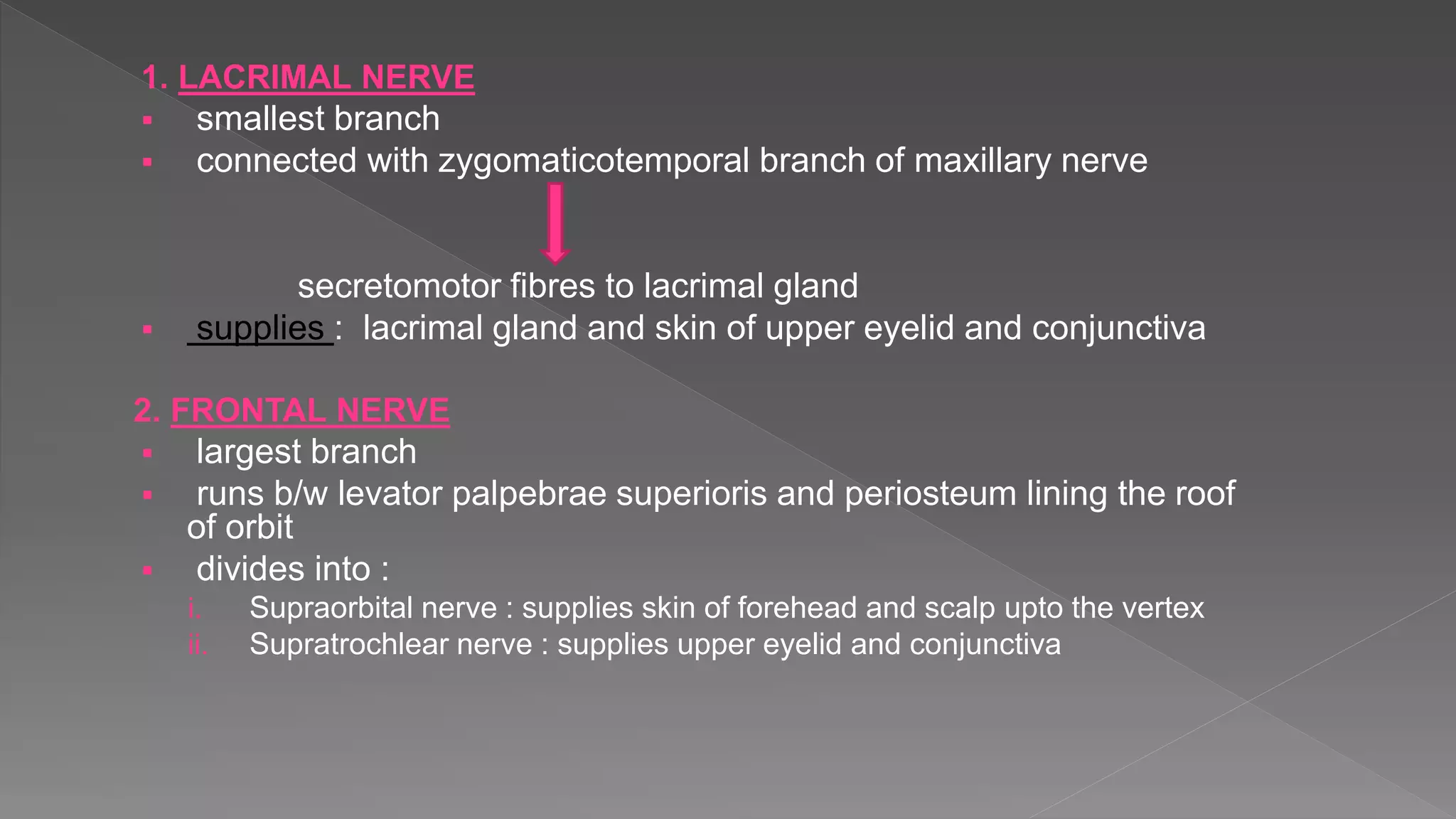 1. LACRIMAL NERVE
 smallest branch
 connected with zygomaticotemporal branch of maxillary nerve
secretomotor fibres to lacrimal gland
 supplies : lacrimal gland and skin of upper eyelid and conjunctiva
2. FRONTAL NERVE
 largest branch
 runs b/w levator palpebrae superioris and periosteum lining the roof
of orbit
 divides into :
i. Supraorbital nerve : supplies skin of forehead and scalp upto the vertex
ii. Supratrochlear nerve : supplies upper eyelid and conjunctiva
 