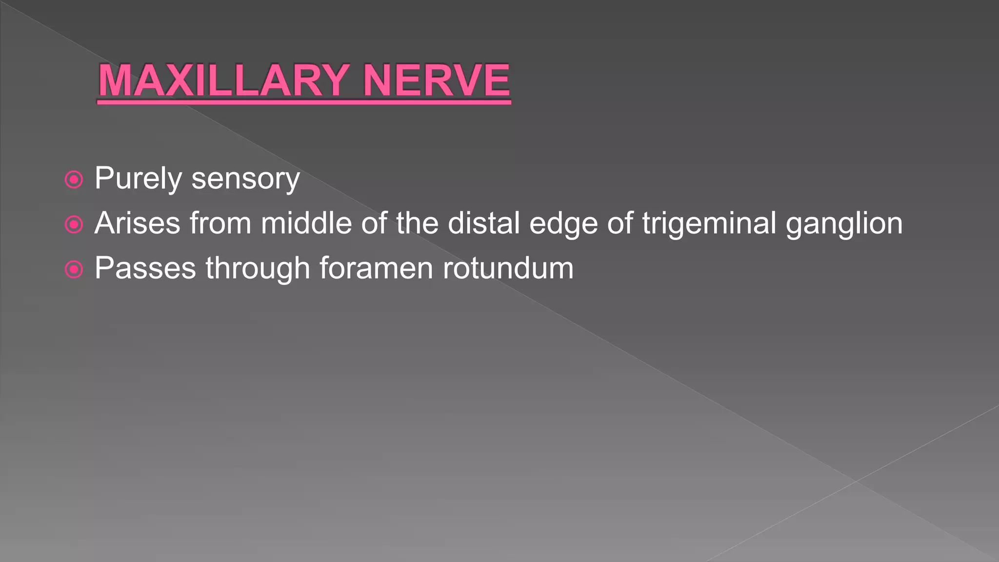  Purely sensory
 Arises from middle of the distal edge of trigeminal ganglion
 Passes through foramen rotundum
 