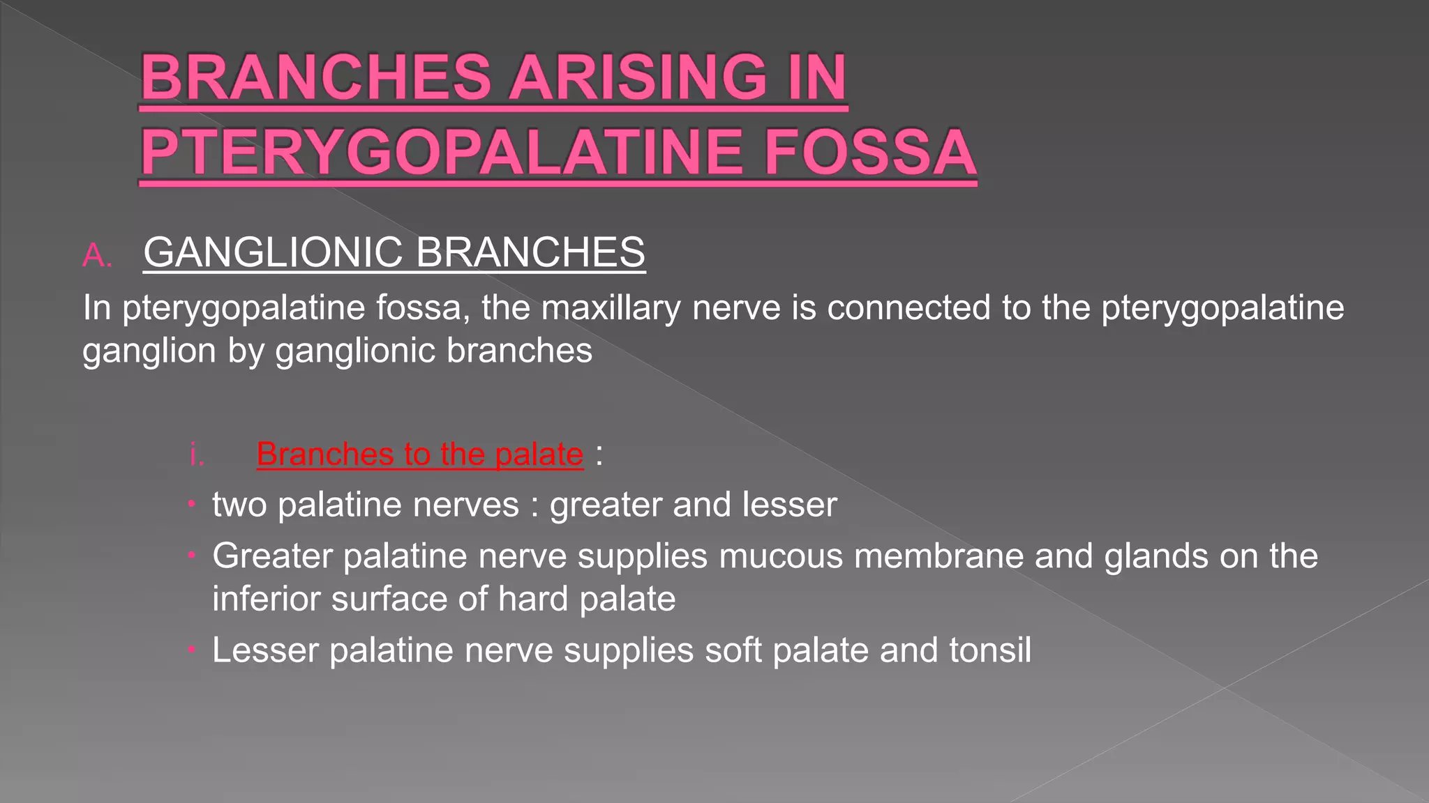 A. GANGLIONIC BRANCHES
In pterygopalatine fossa, the maxillary nerve is connected to the pterygopalatine
ganglion by ganglionic branches
i. Branches to the palate :
 two palatine nerves : greater and lesser
 Greater palatine nerve supplies mucous membrane and glands on the
inferior surface of hard palate
 Lesser palatine nerve supplies soft palate and tonsil
 