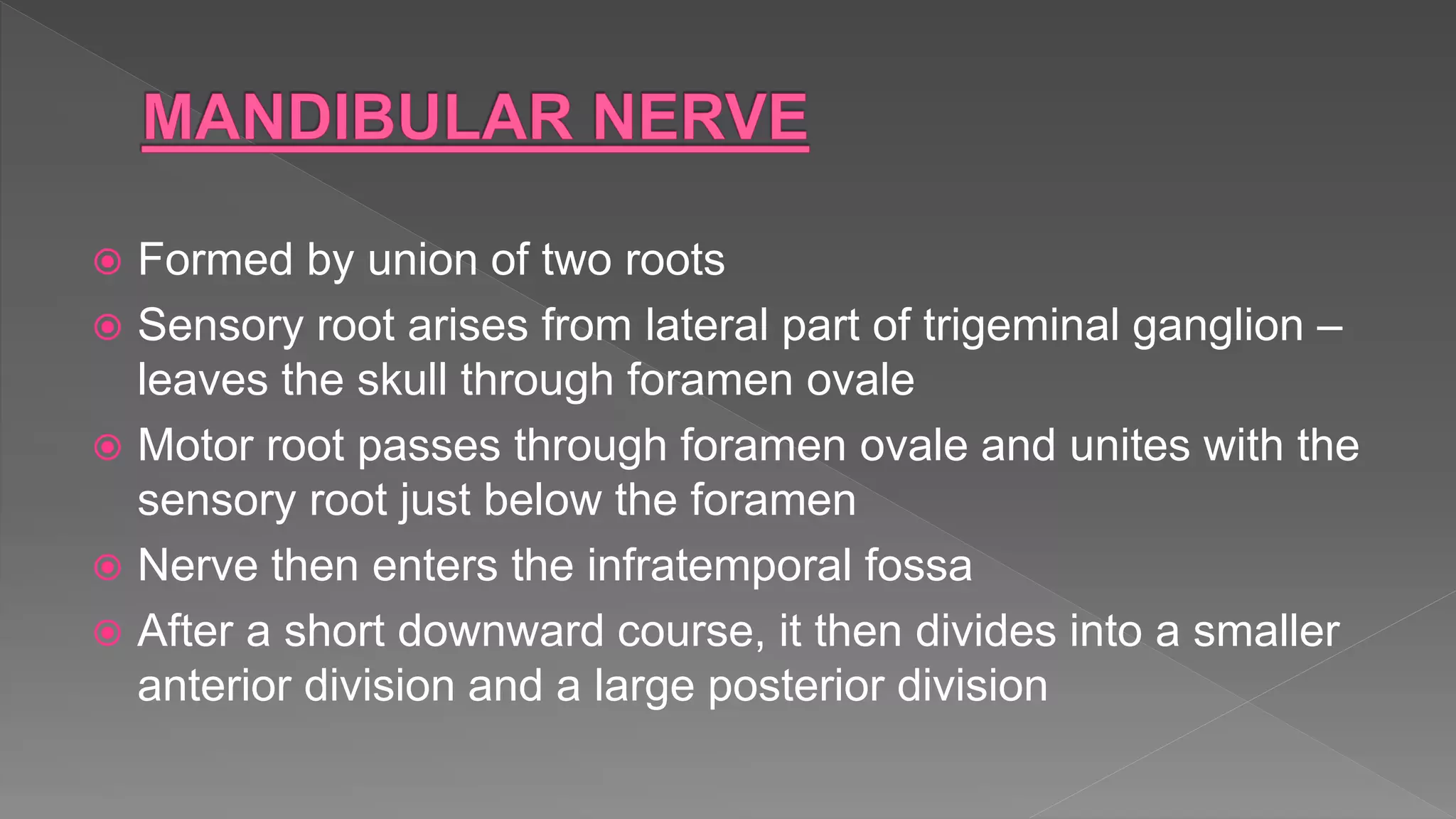  Formed by union of two roots
 Sensory root arises from lateral part of trigeminal ganglion –
leaves the skull through foramen ovale
 Motor root passes through foramen ovale and unites with the
sensory root just below the foramen
 Nerve then enters the infratemporal fossa
 After a short downward course, it then divides into a smaller
anterior division and a large posterior division
 