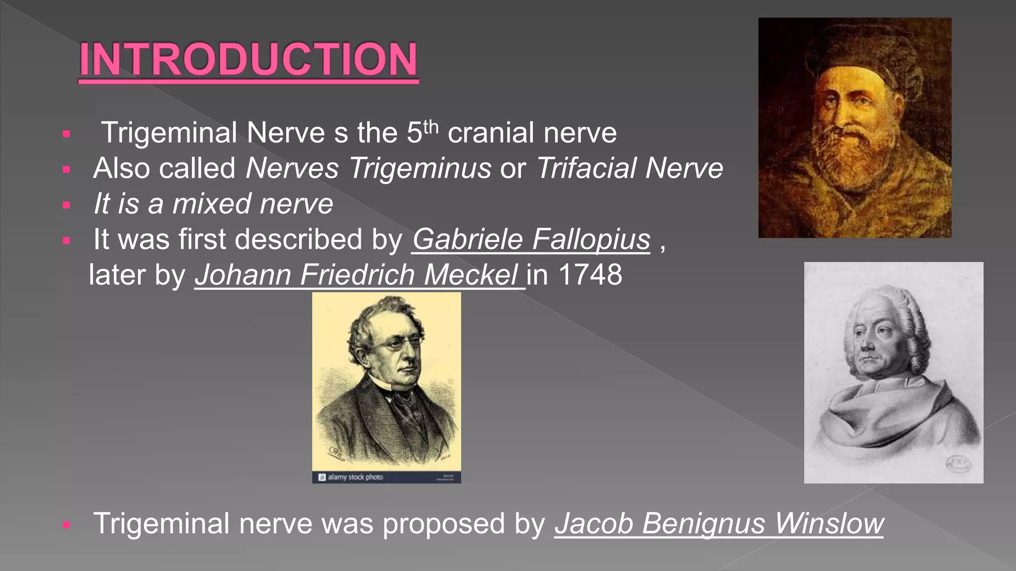  Trigeminal Nerve s the 5th cranial nerve
 Also called Nerves Trigeminus or Trifacial Nerve
 It is a mixed nerve
 It was first described by Gabriele Fallopius ,
later by Johann Friedrich Meckel in 1748
 Trigeminal nerve was proposed by Jacob Benignus Winslow
 