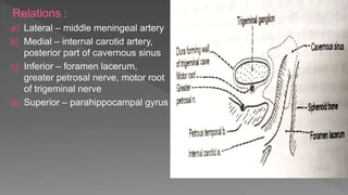 Relations :
a) Lateral – middle meningeal artery
b) Medial – internal carotid artery,
posterior part of cavernous sinus
c) Inferior – foramen lacerum,
greater petrosal nerve, motor root
of trigeminal nerve
d) Superior – parahippocampal gyrus
 