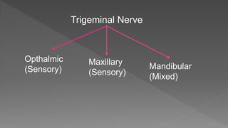 Trigeminal Nerve
Opthalmic
(Sensory)
Maxillary
(Sensory)
Mandibular
(Mixed)
 