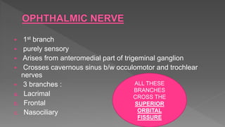  1st branch
 purely sensory
 Arises from anteromedial part of trigeminal ganglion
 Crosses cavernous sinus b/w occulomotor and trochlear
nerves
 3 branches :
a. Lacrimal
b. Frontal
c. Nasociliary
ALL THESE
BRANCHES
CROSS THE
SUPERIOR
ORBITAL
FISSURE
 