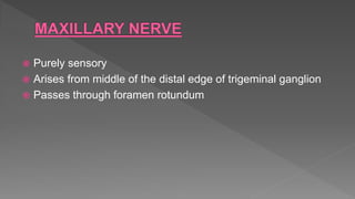  Purely sensory
 Arises from middle of the distal edge of trigeminal ganglion
 Passes through foramen rotundum
 