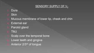 SENSORY SUPPLY OF V3
1. Dura
2. Skin
3. Mucous membrane of lower lip, cheek and chin
4. External ear
5. Parotid gland
6. TMJ
7. Scalp over the temporal bone
8. Lower teeth and gingiva
9. Anterior 2/3rd of tongue
 