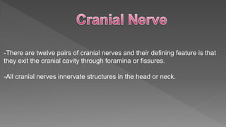 -There are twelve pairs of cranial nerves and their defining feature is that
they exit the cranial cavity through foramina or fissures.
-All cranial nerves innervate structures in the head or neck.
 