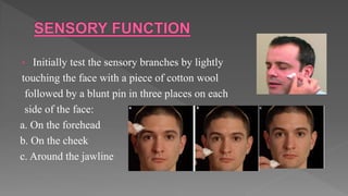 • Initially test the sensory branches by lightly
touching the face with a piece of cotton wool
followed by a blunt pin in three places on each
side of the face:
a. On the forehead
b. On the cheek
c. Around the jawline
 