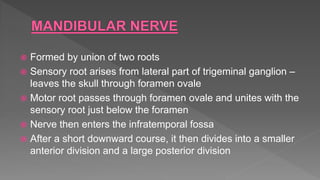 Trigeminal nerve ppt  