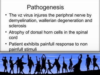 Pathogenesis
• The vz virus injures the periphral nerve by
demyelination, wallerian degeneration and
sclerosis
• Atrophy of dorsal horn cells in the spinal
cord
• Patient exhibits painfull response to non
painfull stimuli

 