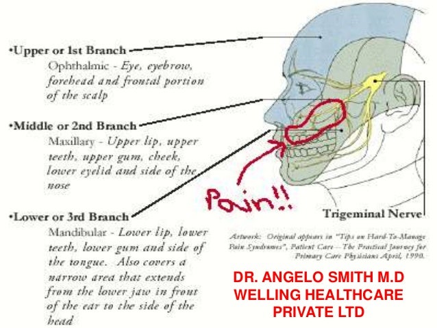 Neuralgia латынь. Neuralgia латынь