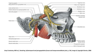 Gray’s Anatomy, 40th ed., Standring, Infratemporal and pterygopalatine fossae and temporomandibular joint, p. 545, Image B, Copyright Elsevier, 2008.
 