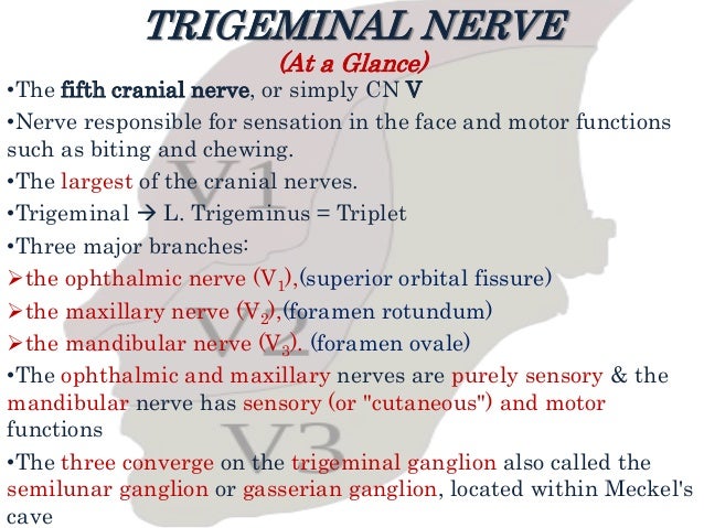 Trigeminal neuralgia ( at a glance)