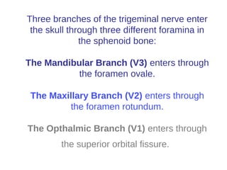Three branches of the trigeminal nerve enter
the skull through three different foramina in
the sphenoid bone:
The Mandibular Branch (V3) enters through
the foramen ovale.
The Maxillary Branch (V2) enters through
the foramen rotundum.
The Opthalmic Branch (V1) enters through
the superior orbital fissure.
 