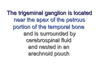 The trigeminal ganglion is locatedThe trigeminal ganglion is located
near the apex of the petrousnear the apex of the petrous
portion of the temporal boneportion of the temporal bone
and is surrounded byand is surrounded by
cerebrospinal fluidcerebrospinal fluid
and nested in anand nested in an
arachnoid poucharachnoid pouch
 