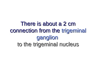 There is about a 2 cmThere is about a 2 cm
connection from theconnection from the trigeminaltrigeminal
ganglionganglion
to the trigeminal nucleusto the trigeminal nucleus
 
