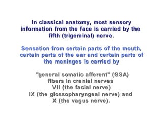 In classical anatomy, most sensoryIn classical anatomy, most sensory
information from the face is carried by theinformation from the face is carried by the
fifth (trigeminal) nerve.fifth (trigeminal) nerve.
Sensation from certain parts of the mouth,Sensation from certain parts of the mouth,
certain parts of the ear and certain parts ofcertain parts of the ear and certain parts of
the meninges is carried bythe meninges is carried by
"general somatic afferent" (GSA)"general somatic afferent" (GSA)
fibers in cranial nervesfibers in cranial nerves
VII (the facial nerve)VII (the facial nerve)
IX (the glossopharyngeal nerve) andIX (the glossopharyngeal nerve) and
X (the vagus nerve).X (the vagus nerve).
 