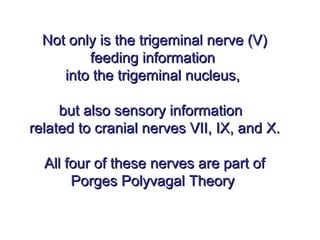 Not only is the trigeminal nerve (V)Not only is the trigeminal nerve (V)
feeding informationfeeding information
into the trigeminal nucleus,into the trigeminal nucleus,
but also sensory informationbut also sensory information
related to cranial nerves VII, IX, and X.related to cranial nerves VII, IX, and X.
All four of these nerves are part ofAll four of these nerves are part of
Porges Polyvagal TheoryPorges Polyvagal Theory
 