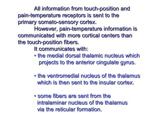 All information from touch-position andAll information from touch-position and
pain-temperature receptors is sent to thepain-temperature receptors is sent to the
primary somato-sensory cortex.primary somato-sensory cortex.
However, pain-temperature information isHowever, pain-temperature information is
communicated with more cortical centers thancommunicated with more cortical centers than
the touch-position fibers.the touch-position fibers.
It communicates with:It communicates with:
• the medial dorsal thalamic nucleus which• the medial dorsal thalamic nucleus which
projects to the anterior cingulate gyrus.projects to the anterior cingulate gyrus.
•• the ventromedial nucleus of the thalamusthe ventromedial nucleus of the thalamus
which is then sent to the insular cortex.which is then sent to the insular cortex.
• some fibers are sent from the• some fibers are sent from the
intralaminar nucleus of the thalamusintralaminar nucleus of the thalamus
via the reticular formation.via the reticular formation.
 