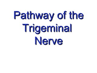 Pathway of thePathway of the
TrigeminalTrigeminal
NerveNerve
 