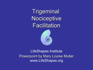 TrigeminalTrigeminal
NociceptiveNociceptive
FacilitationFacilitation
LifeShapes Institute
Powerpoint by Mary Louise MullerPowerpoint by Mary Louise Muller
www.LifeShapes.org
 